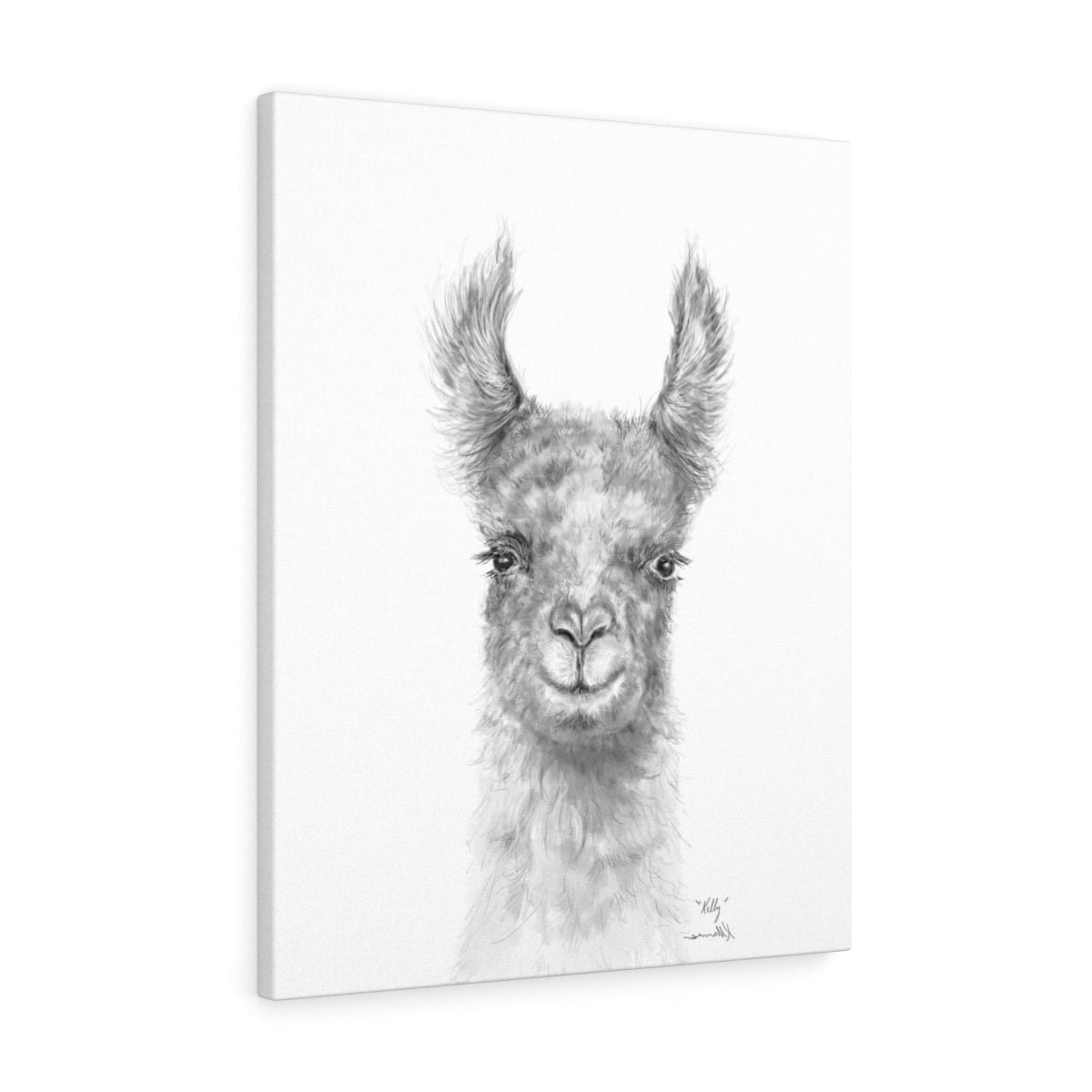 KELLY Llama - Art Canvas