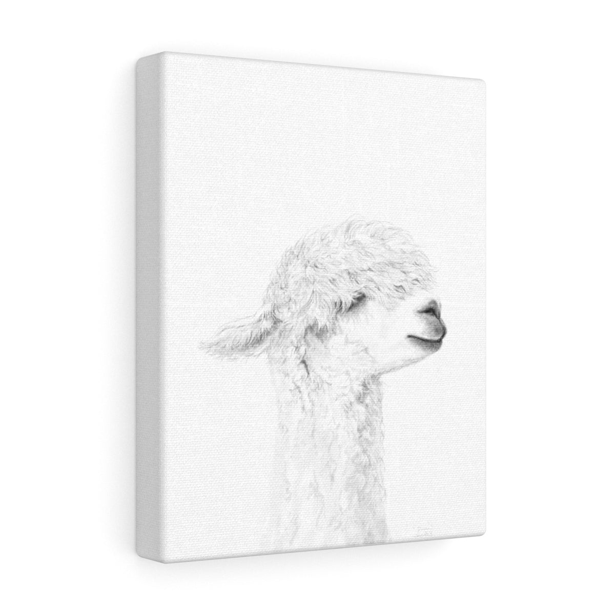 DANICA Llama - Art Canvas