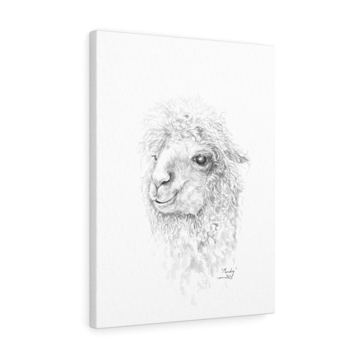 Mandy Llama - Art Canvas