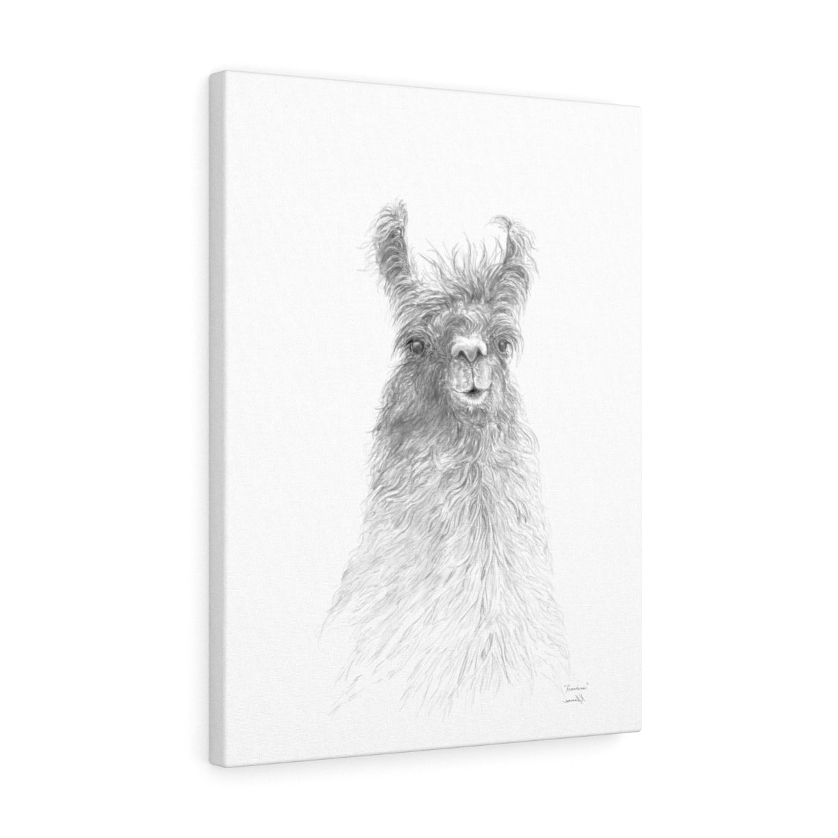 FRANCINE Llama - Art Canvas