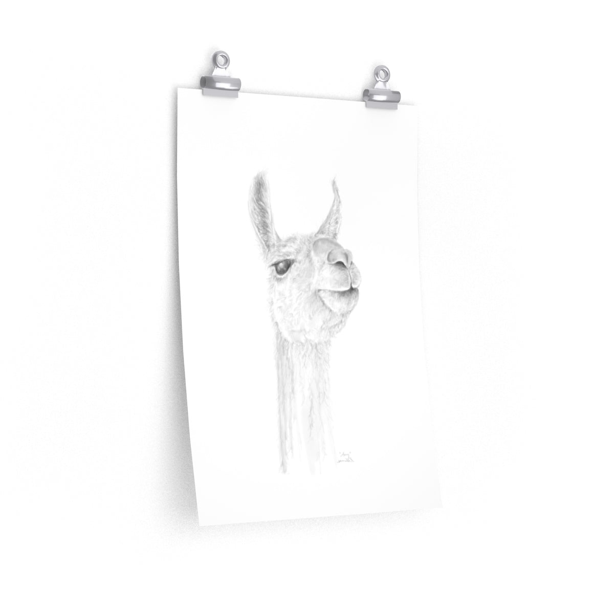 AMY Llama- Art Paper Print