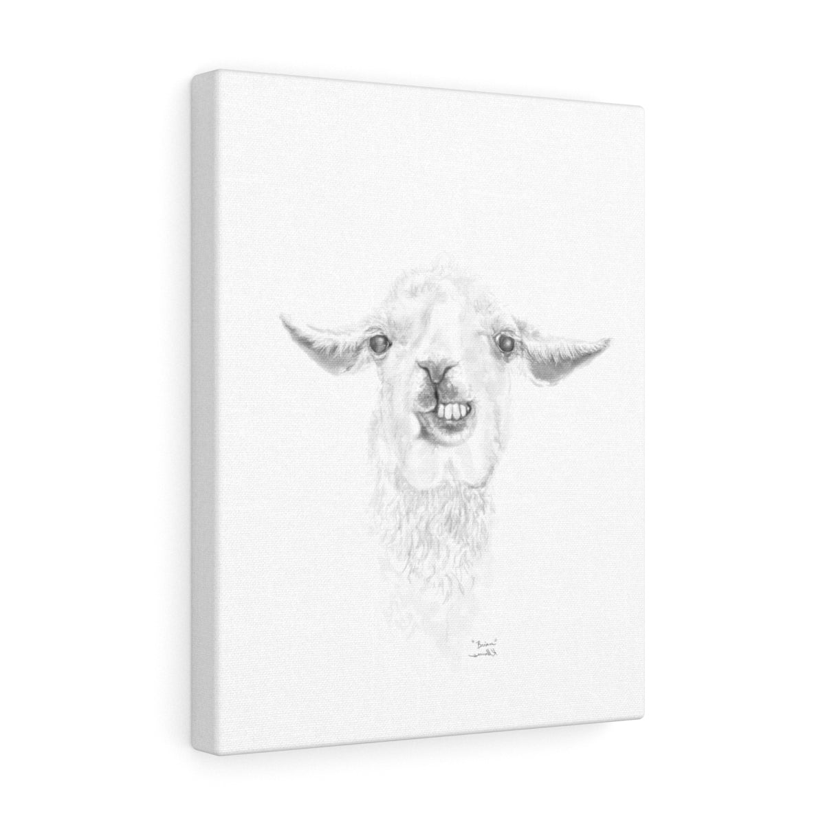 BRIAN Llama - Art Canvas