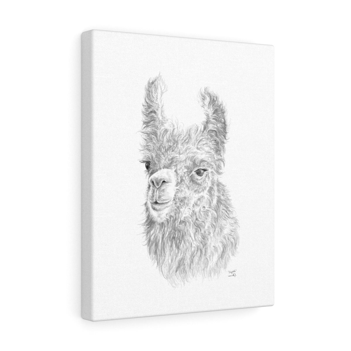 Elizabeth Llama - Art Canvas