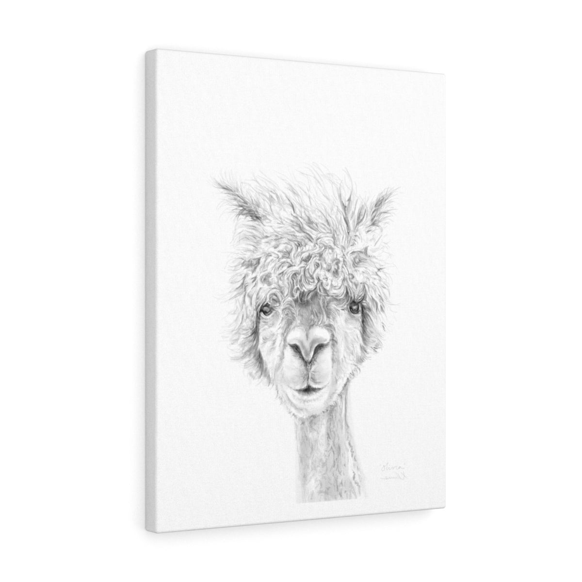 OLIVIA Llama - Art Canvas