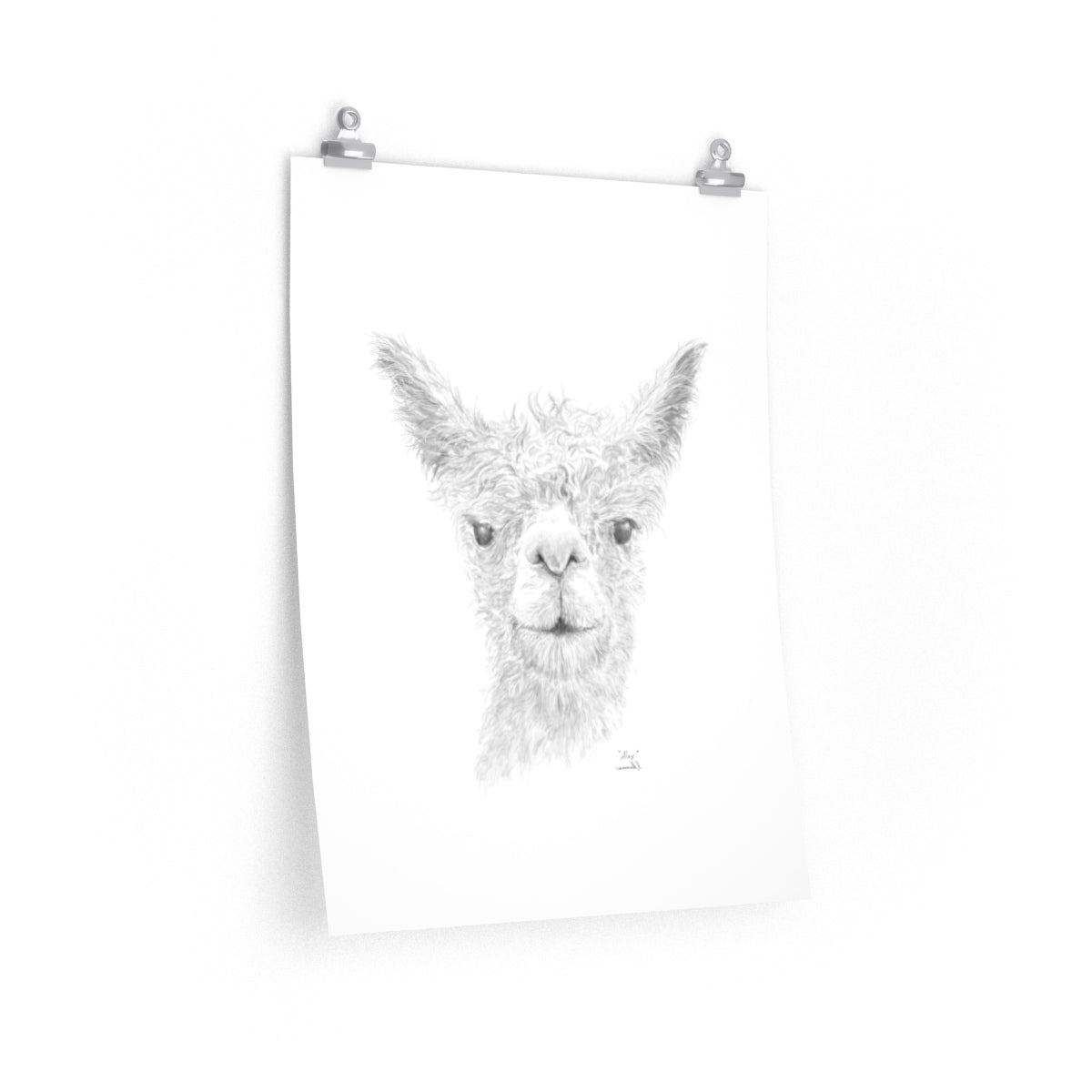 Alex Llama- Art Paper Print