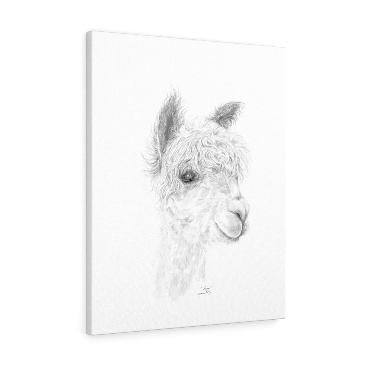 ANNE Llama - Art Canvas