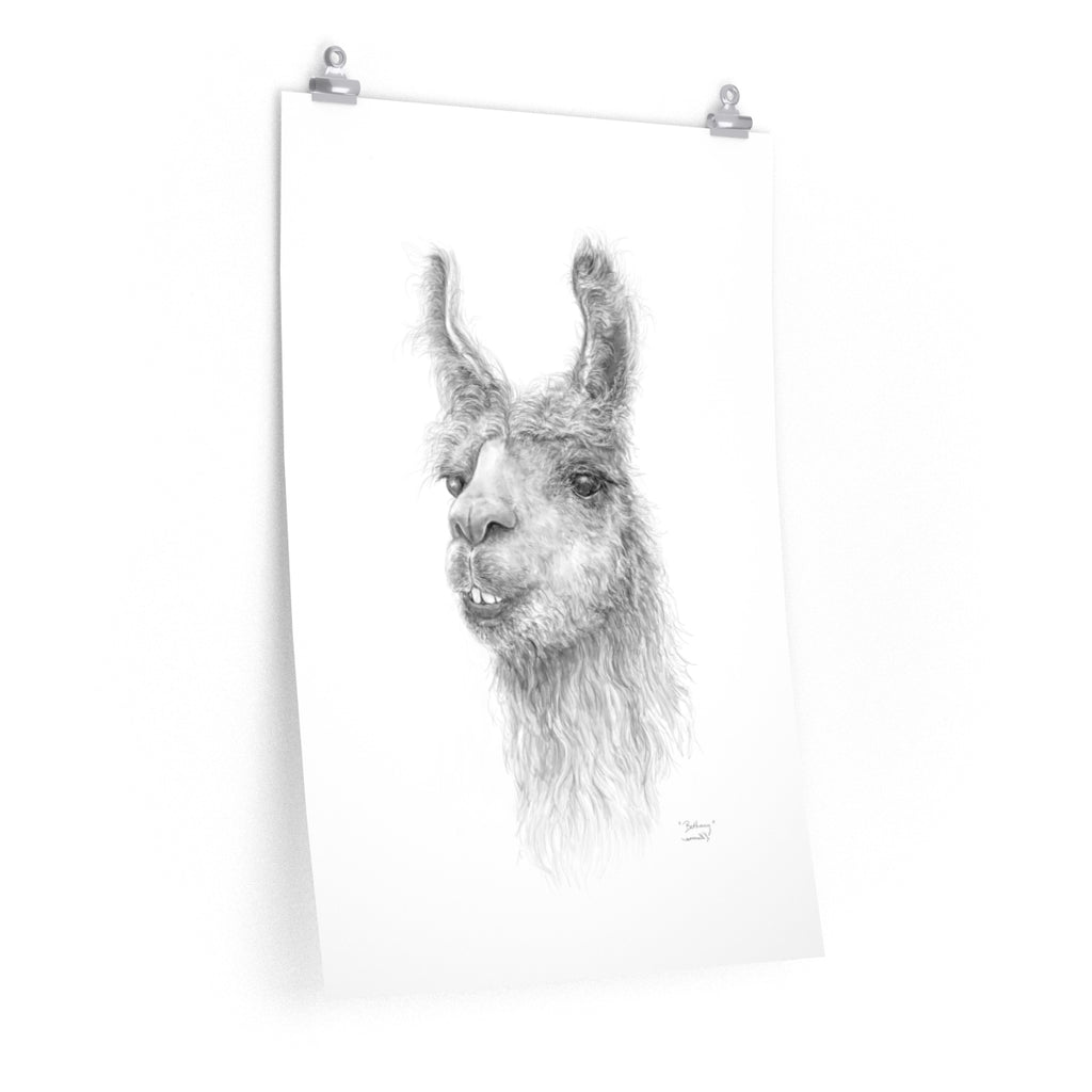 BETHANY Llama- Art Paper Print