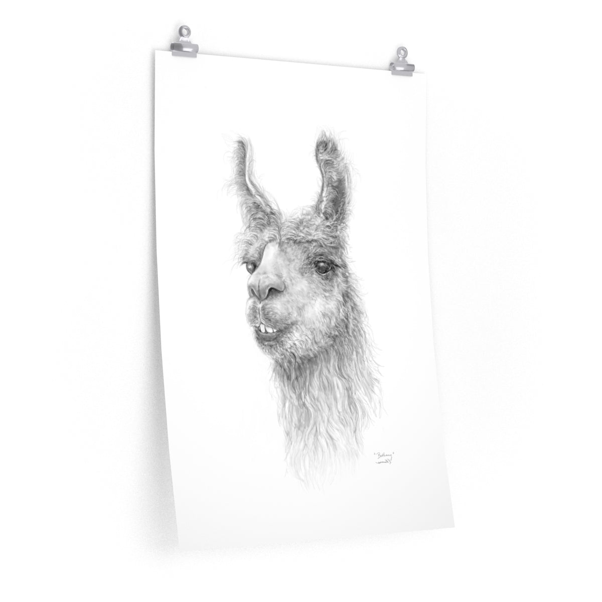 BETHANY Llama- Art Paper Print