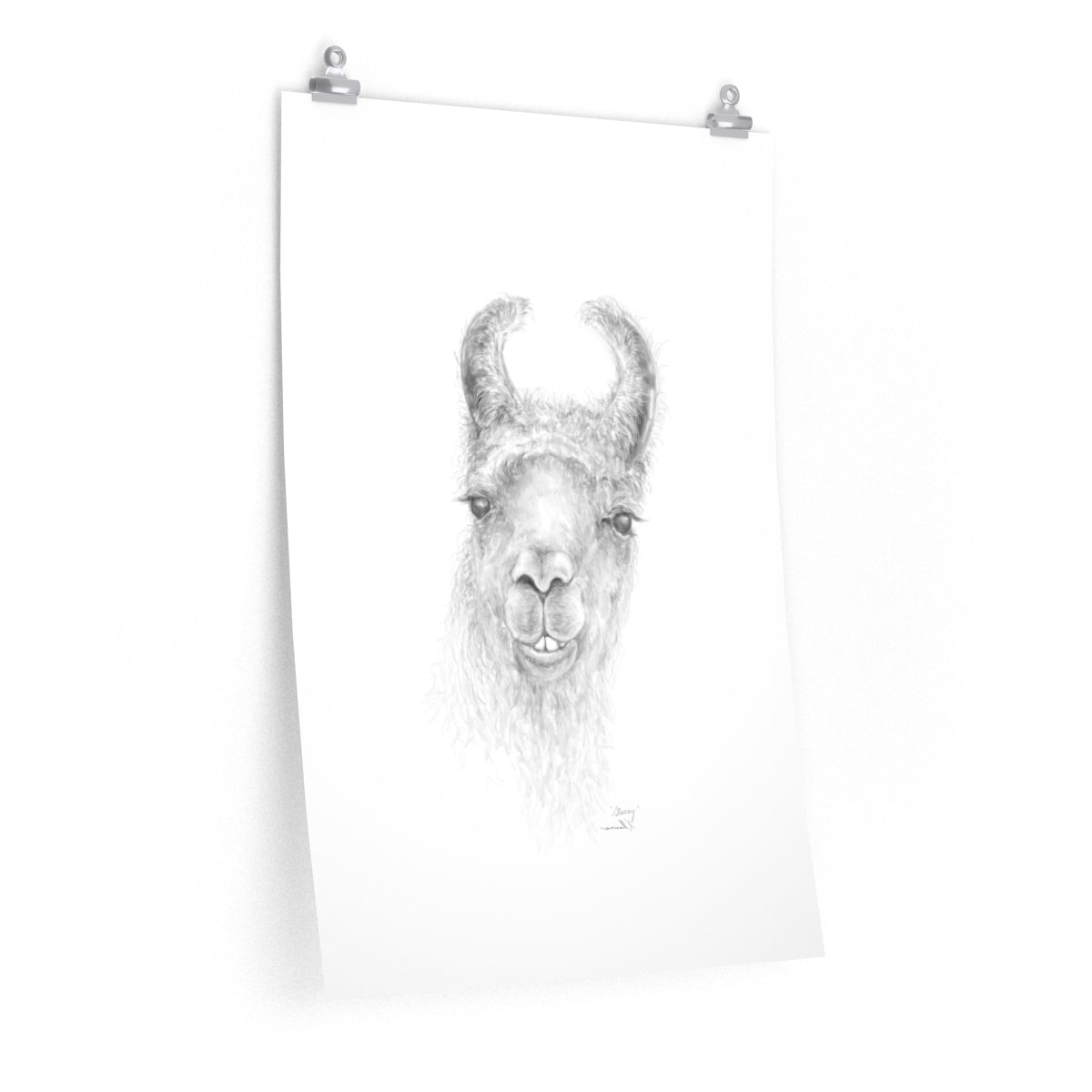 STACEY Llama- Art Paper Print