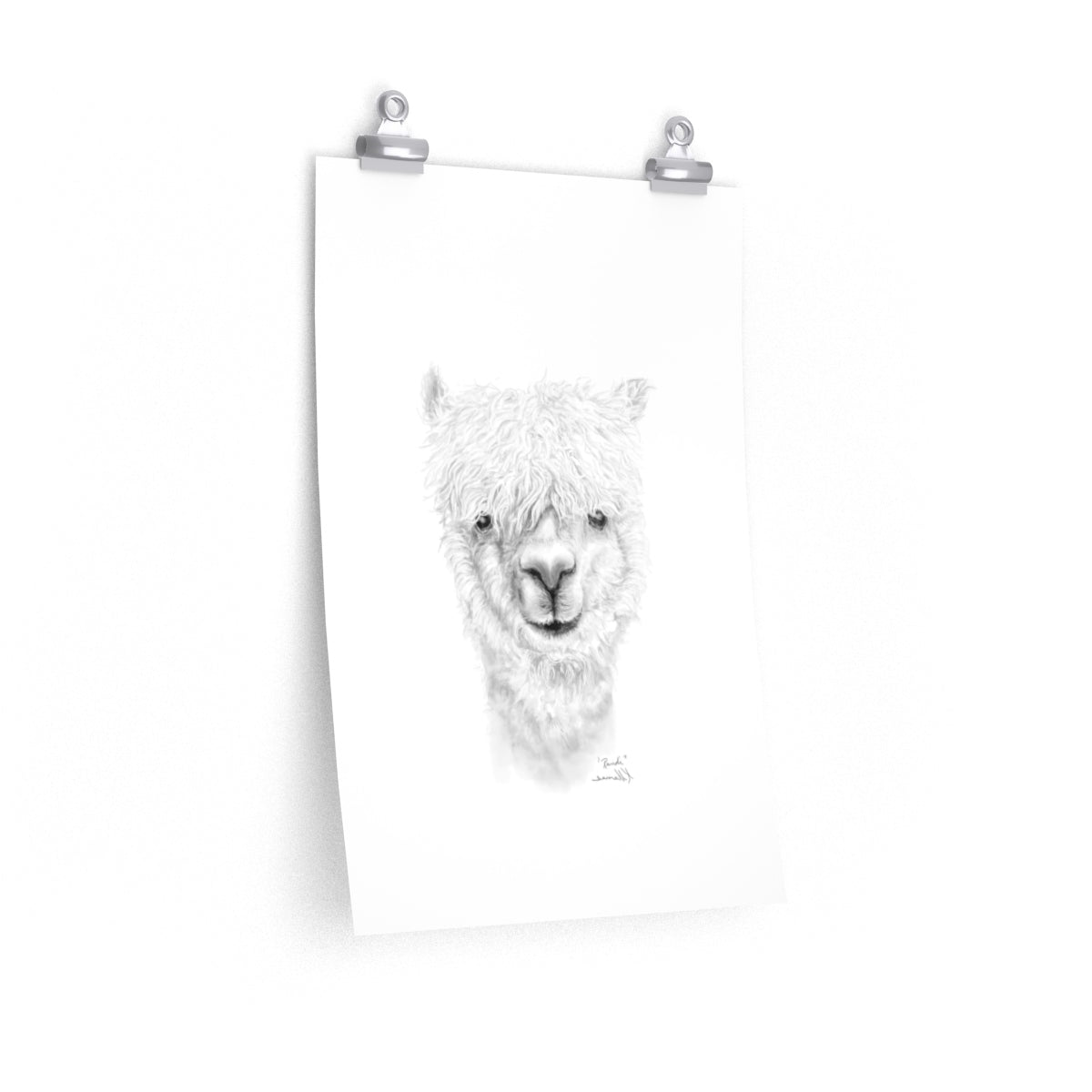 RANDI Llama- Art Paper Print