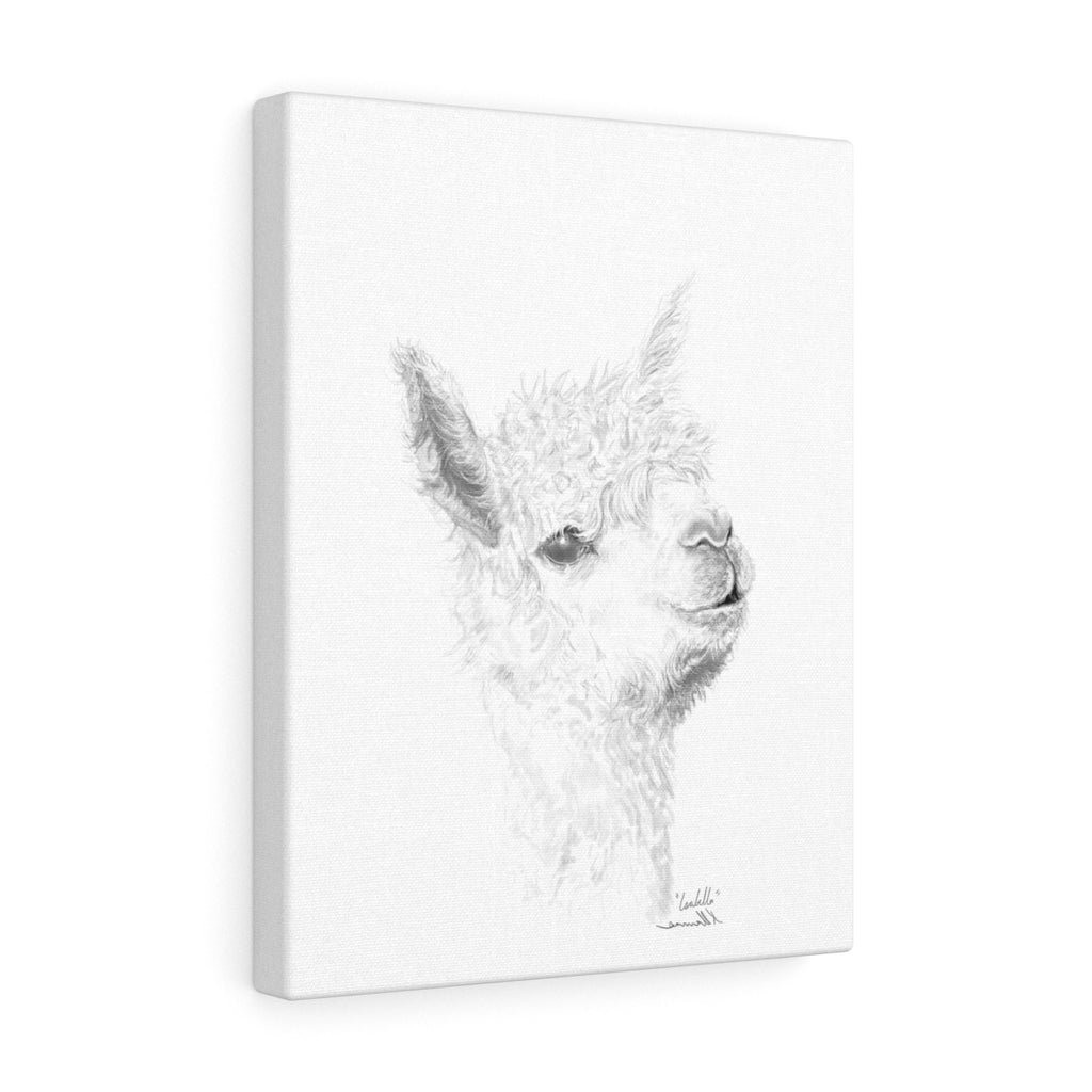ISABELLA Llama - Art Canvas