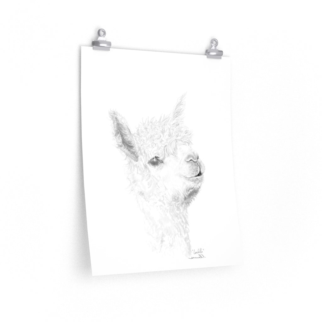ISABELLA Llama- Art Paper Print
