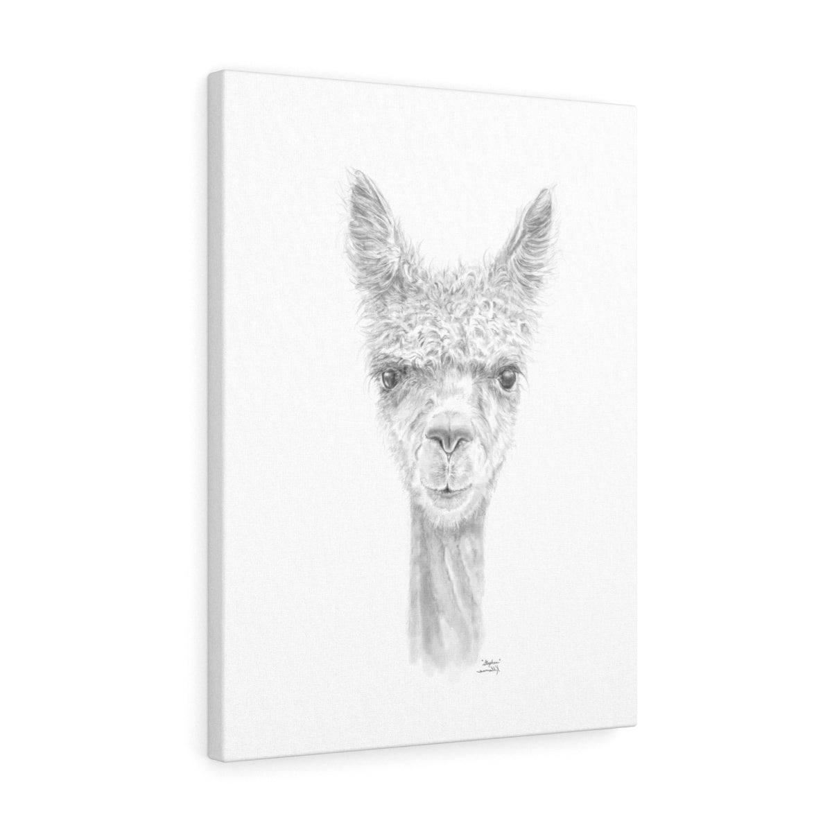 STEPHEN Llama - Art Canvas