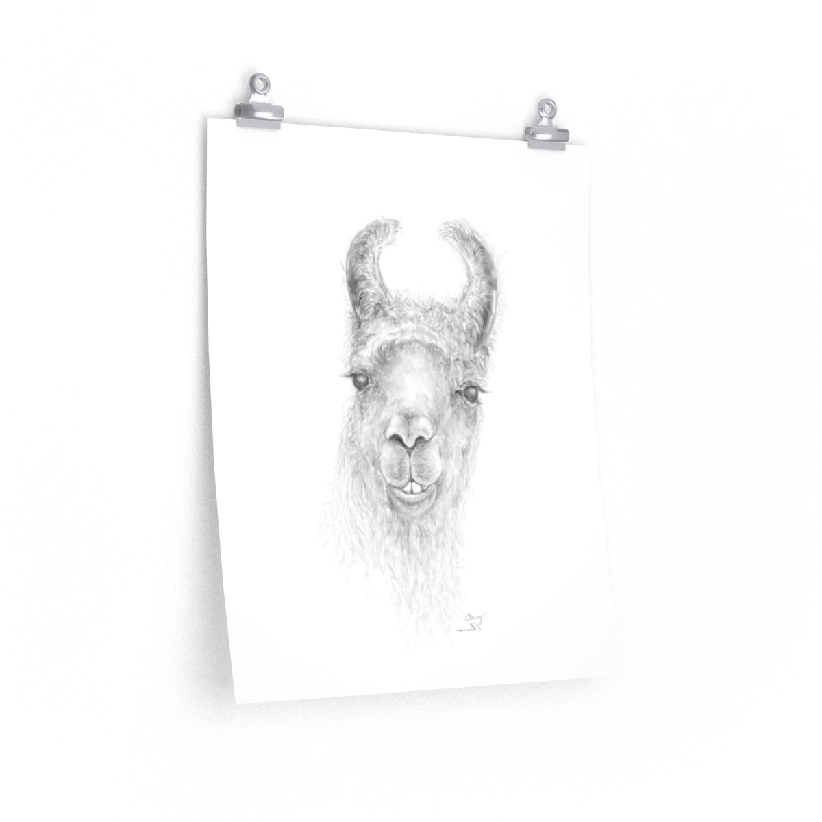 STACEY Llama- Art Paper Print