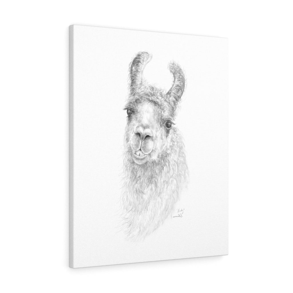 KIRBY Llama - Art Canvas