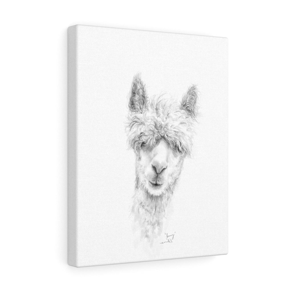 JENNY Llama - Art Canvas