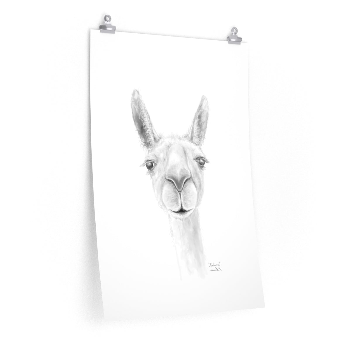 ADDISON Llama- Art Paper Print