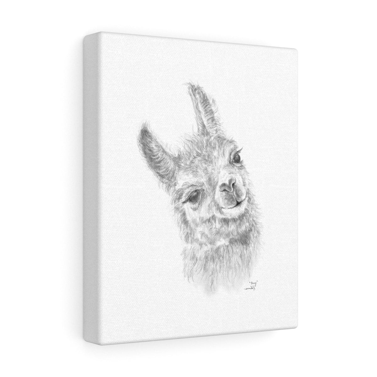 Posey Llama - Art Canvas