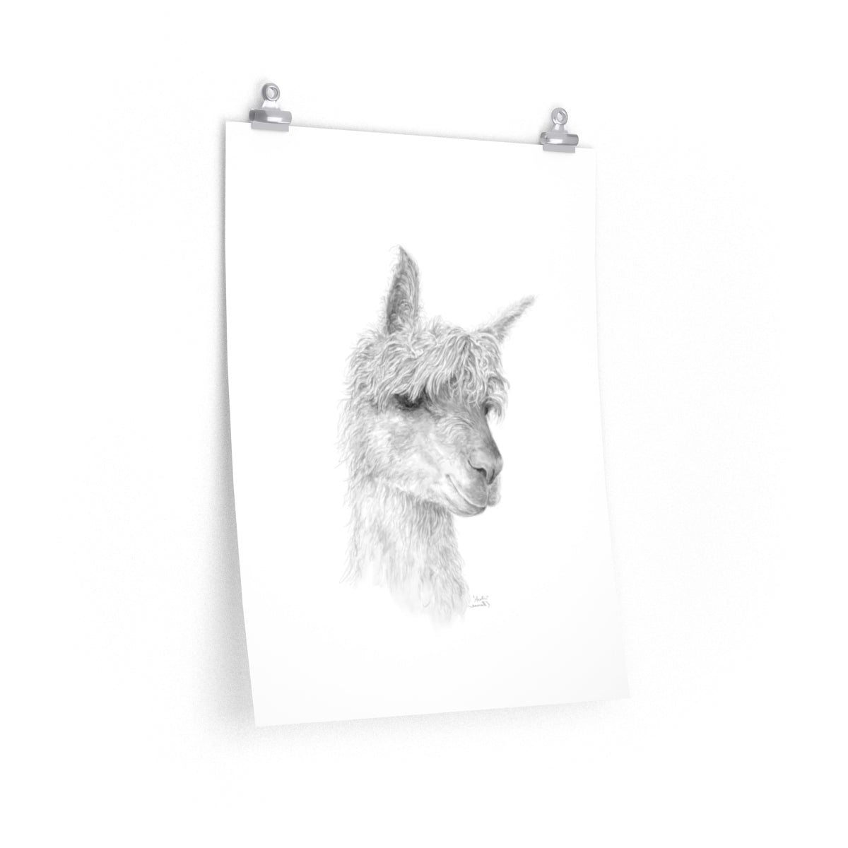 AUSTIN Llama- Art Paper Print
