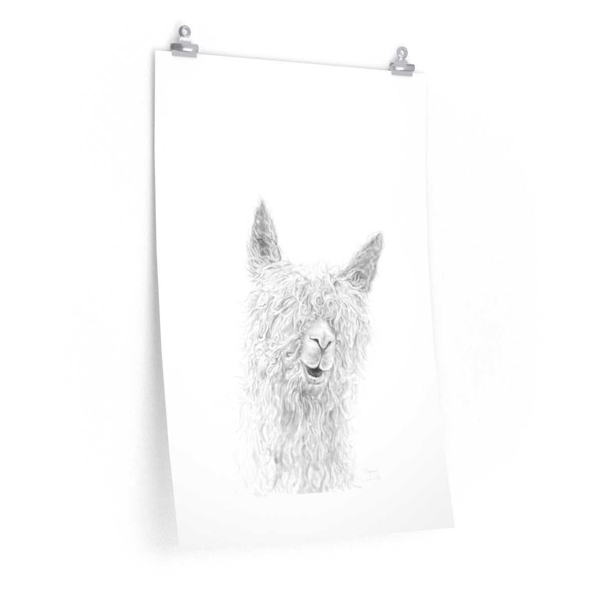 REGINA Llama- Art Paper Print