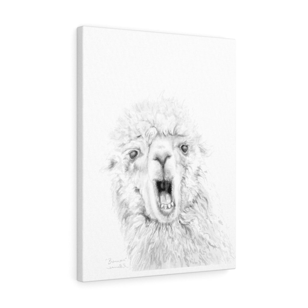 BRENNAN Llama - Art Canvas