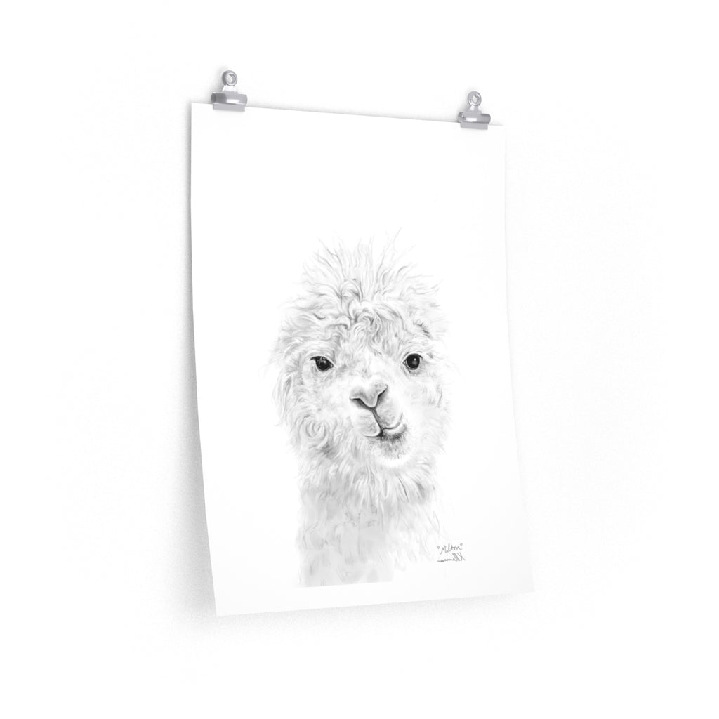 MILTON Llama- Art Paper Print