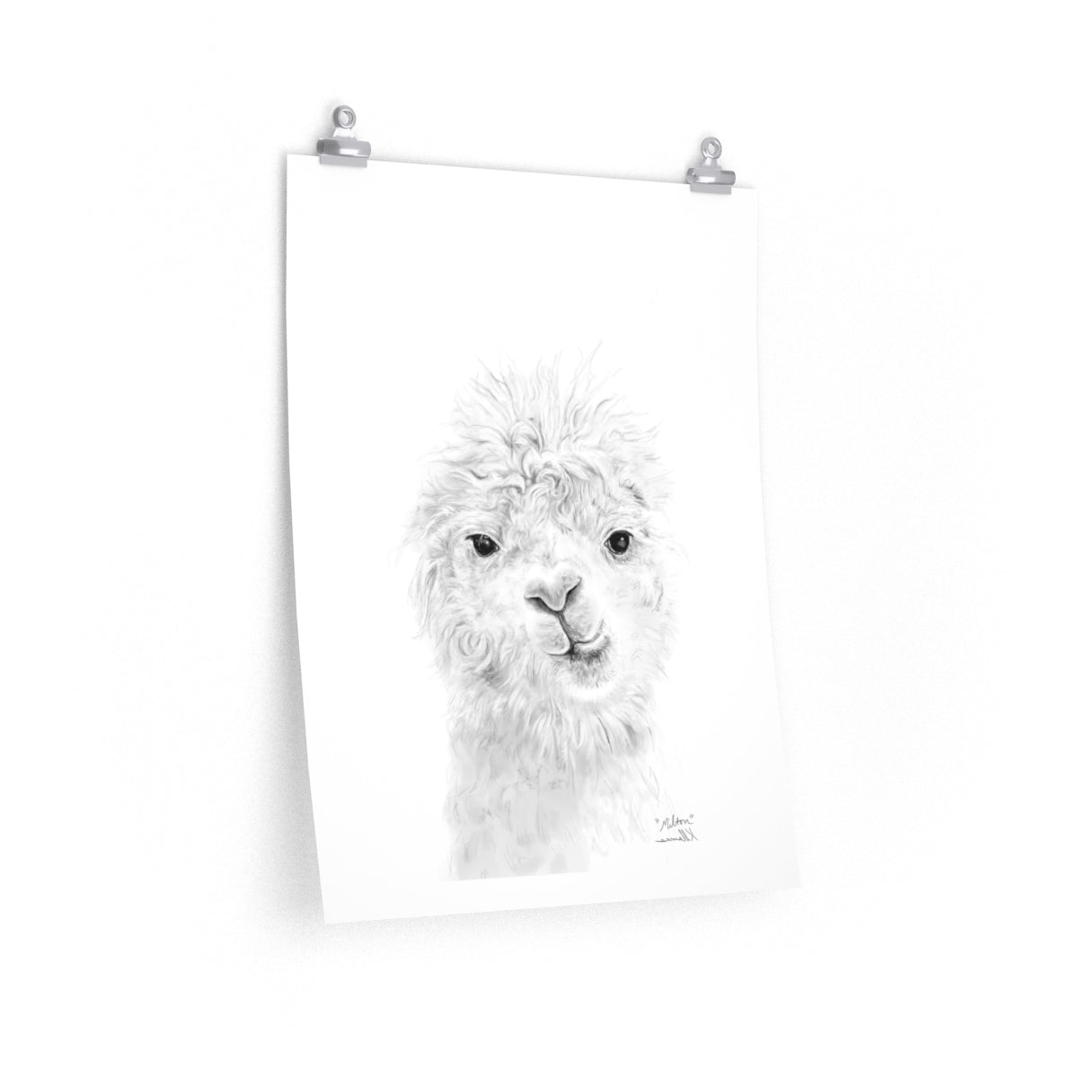 MILTON Llama- Art Paper Print