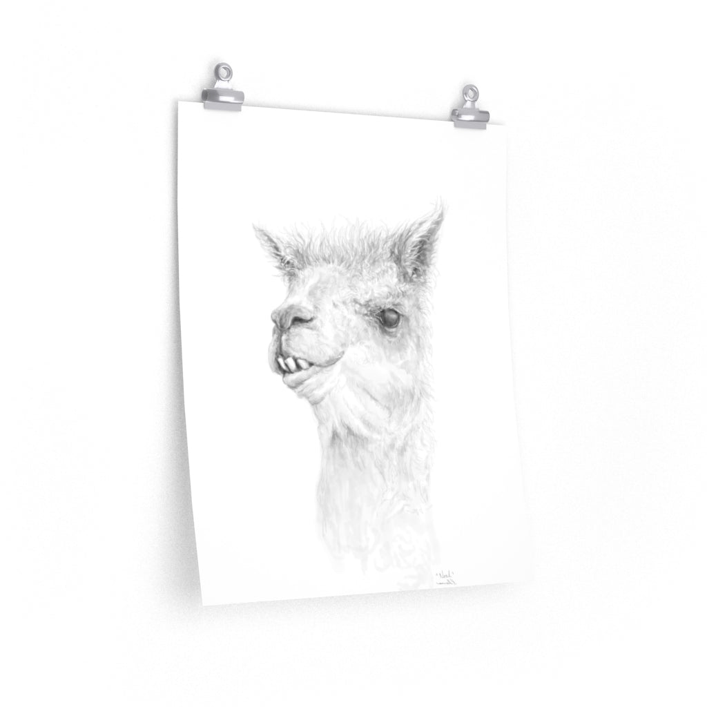 NOAH Llama- Art Paper Print