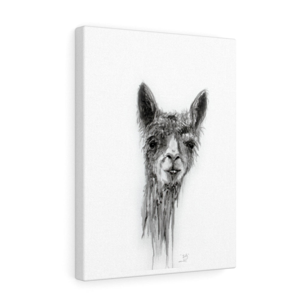 BILLY Llama - Art Canvas