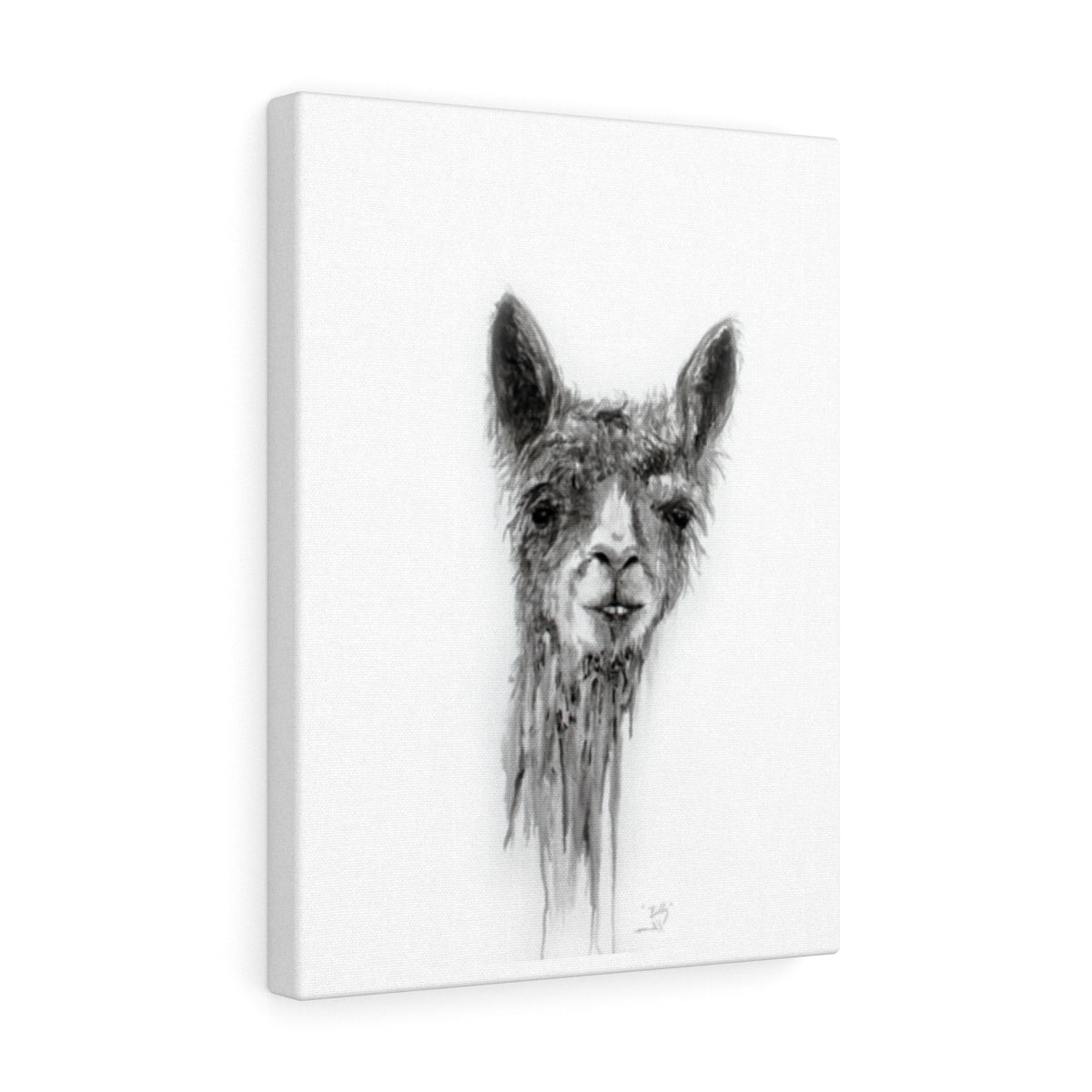 BILLY Llama - Art Canvas