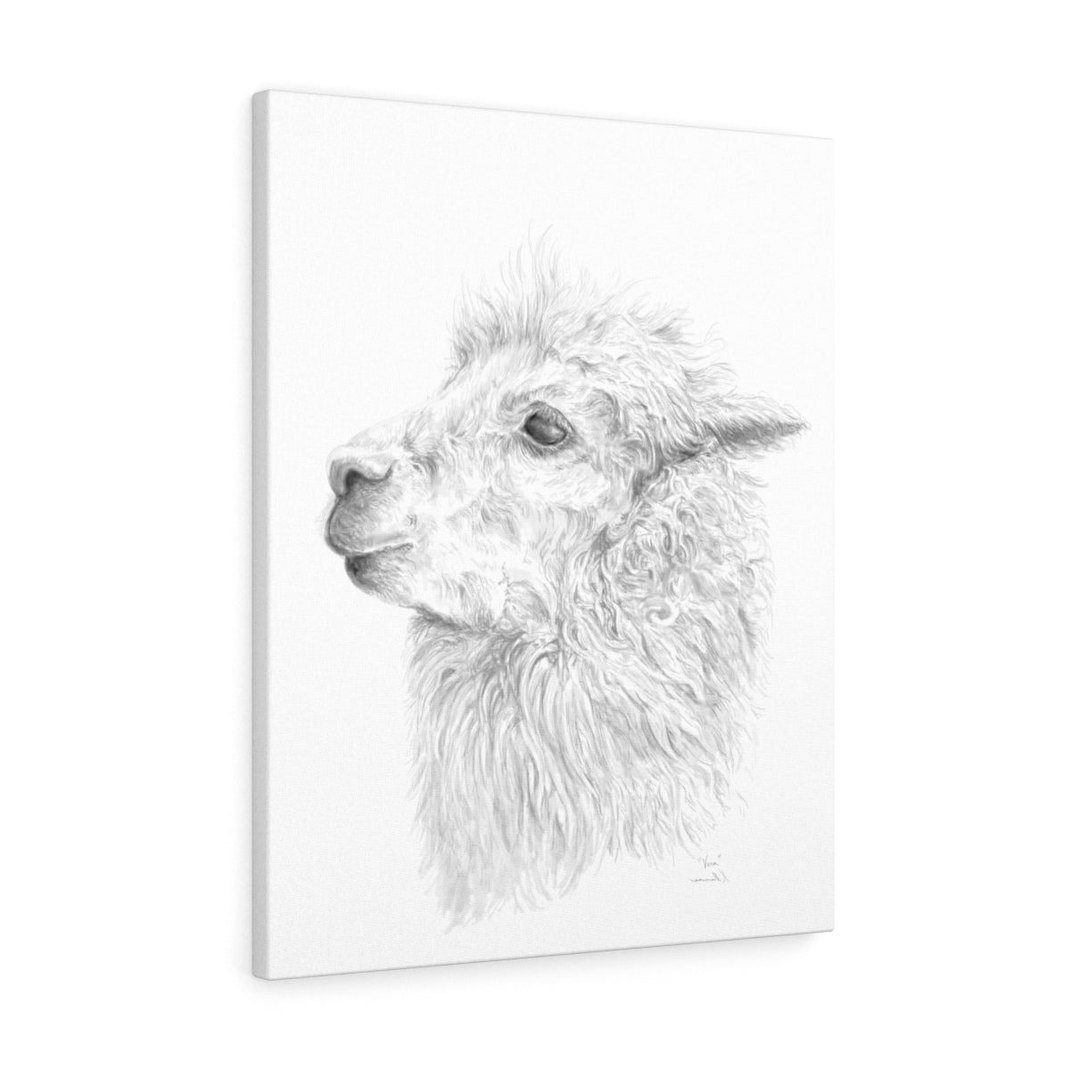 VERA Llama - Art Canvas