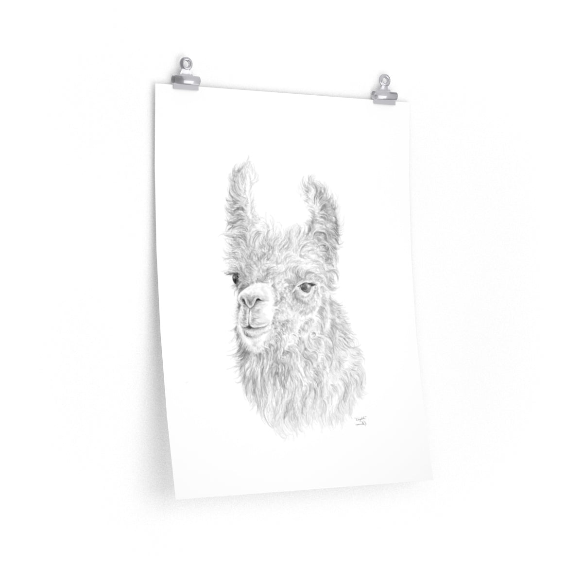 Elizabeth Llama- Art Paper Print