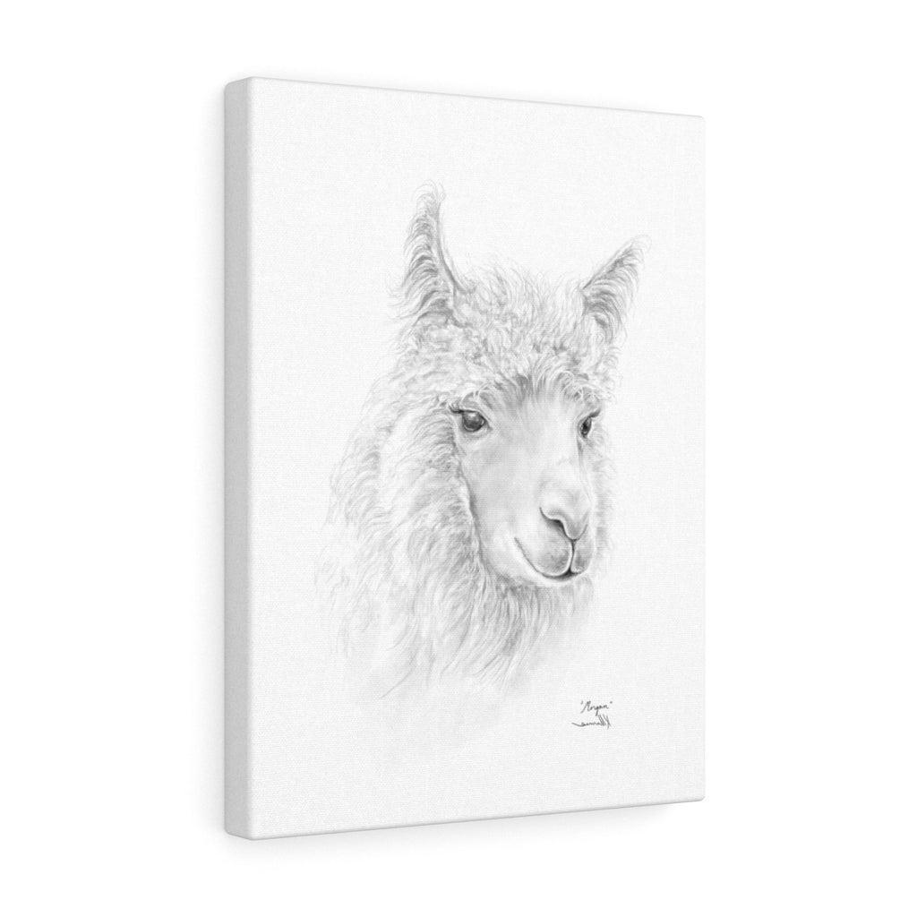 MORGAN llama- Art Canvas