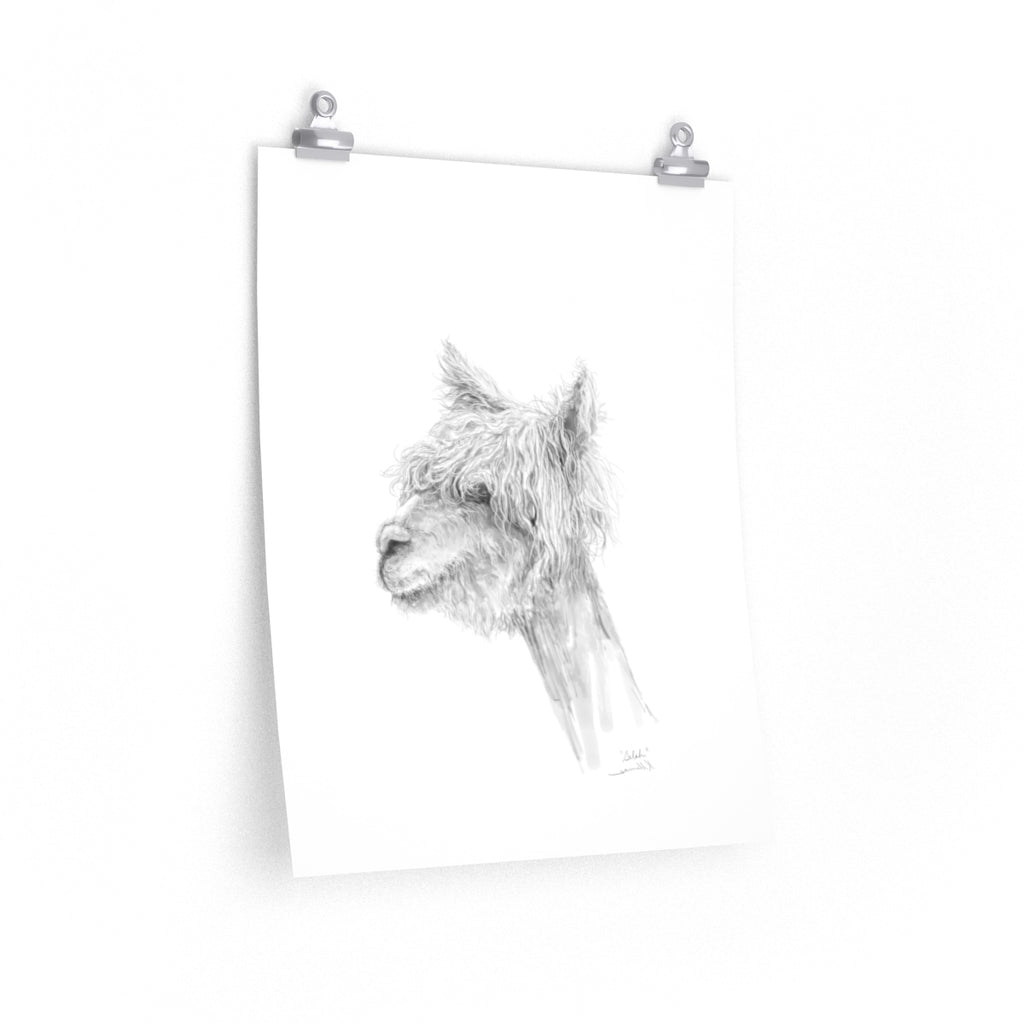SELAH Llama- Art Paper Print