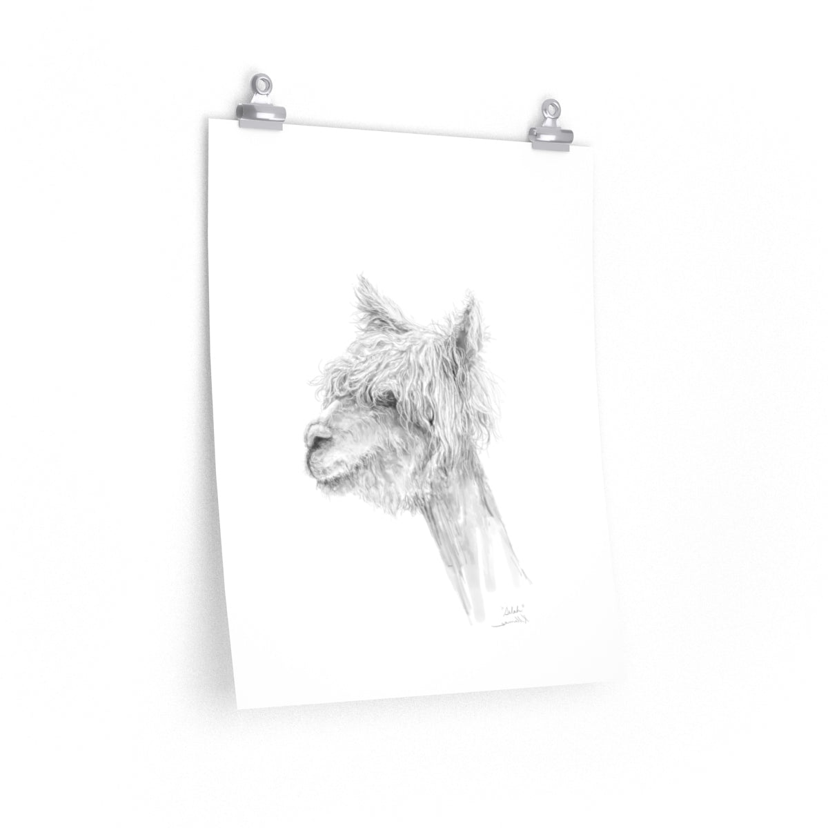SELAH Llama- Art Paper Print