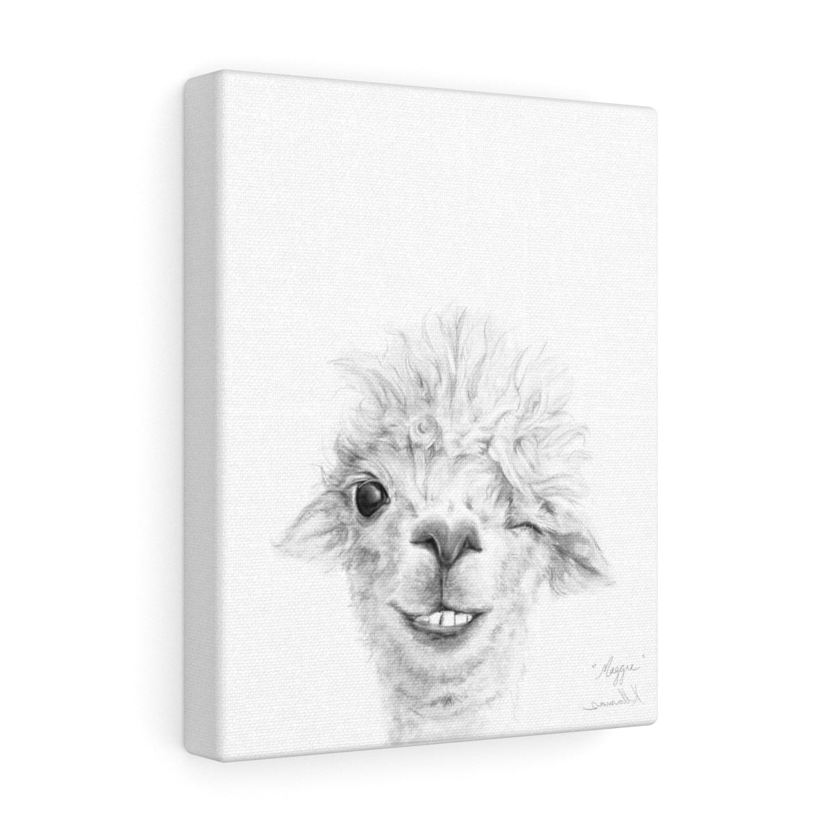 MAGGIE Llama - Art Canvas