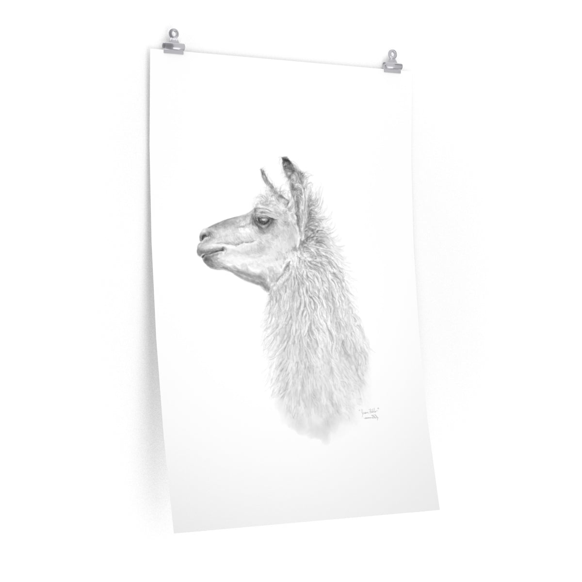 JUAN PABLO Llama- Art Paper Print