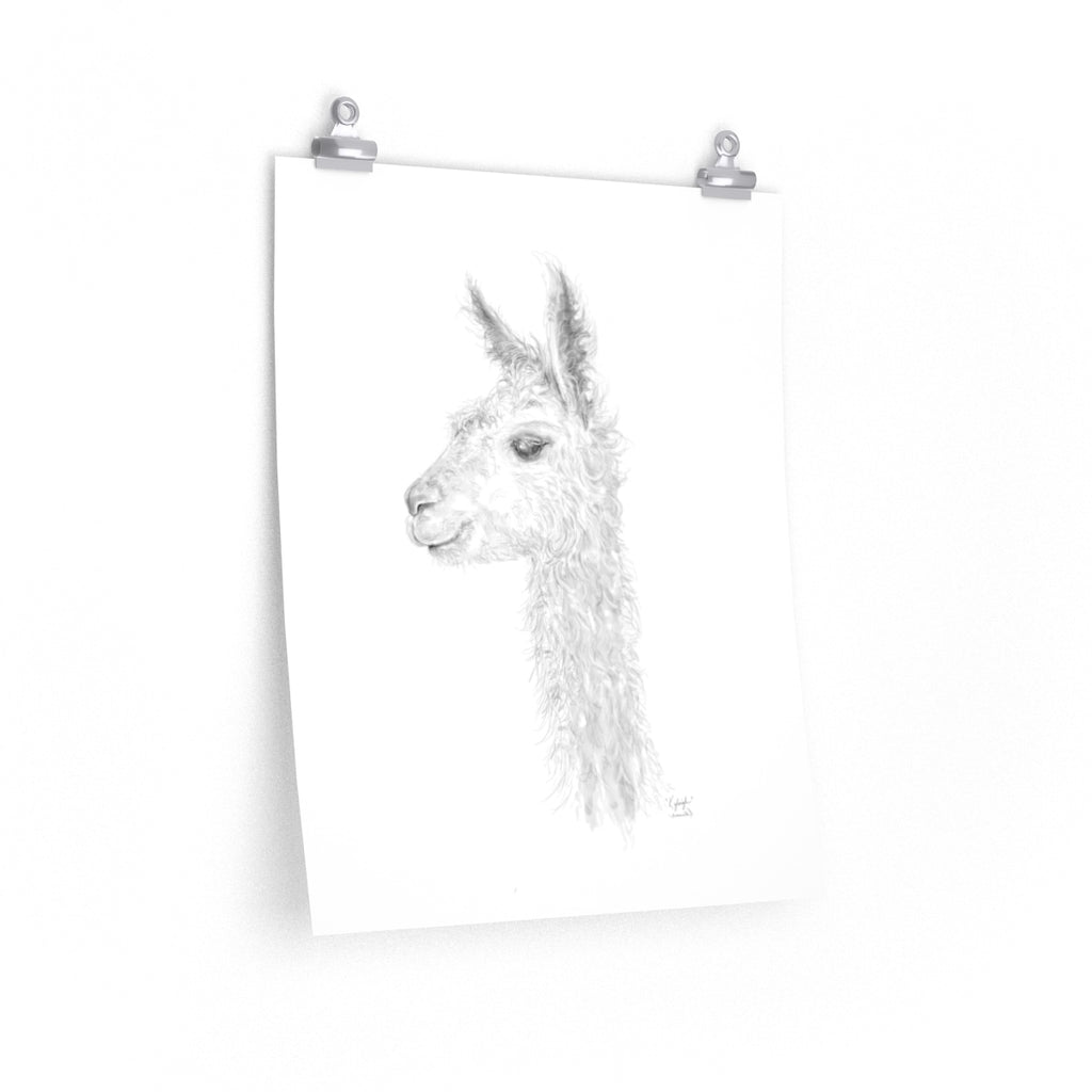 KYLEIGH Llama- Art Paper Print