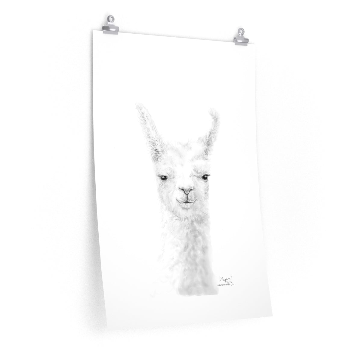 MEGAN Llama- Art Paper Print