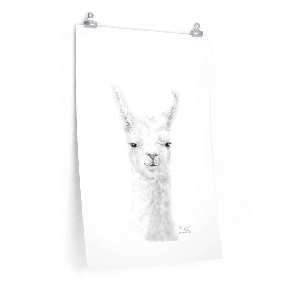 MEGAN Llama- Art Paper Print
