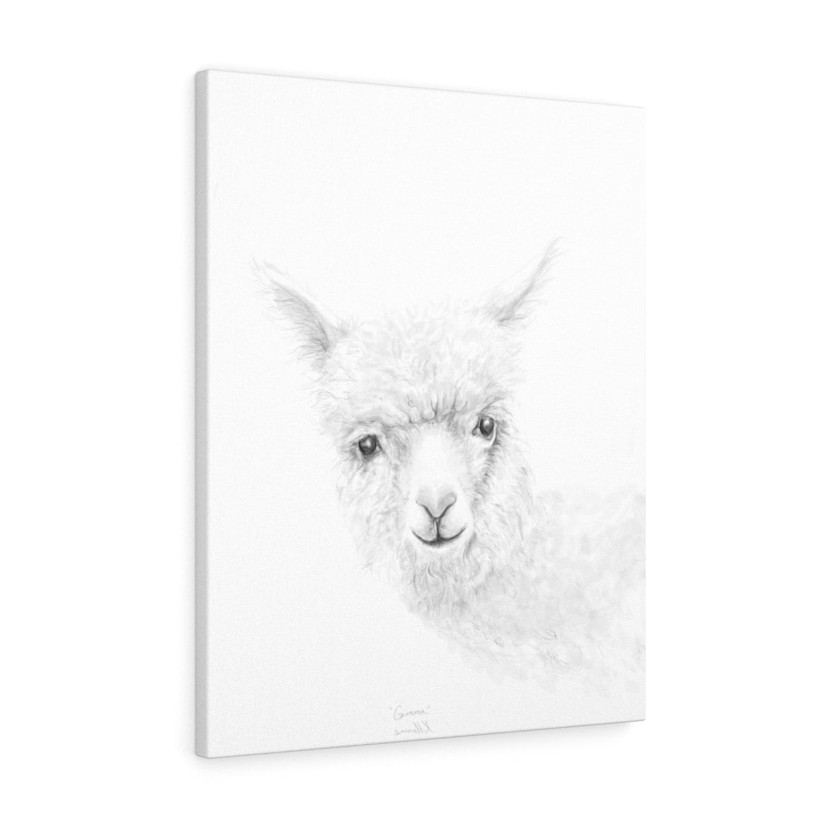 GEMMA Llama - Art Canvas