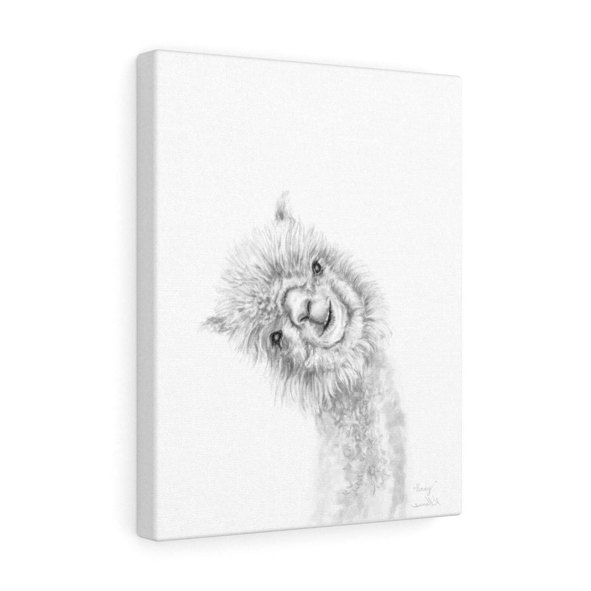 PENNY Llama - Art Canvas
