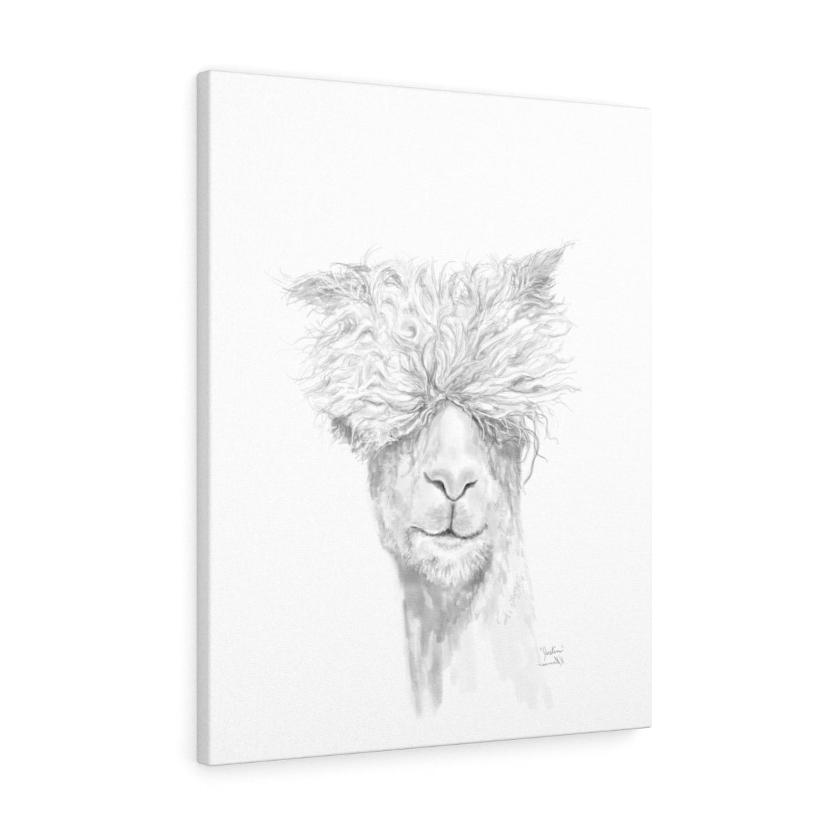 JUSTIN Llama - Art Canvas