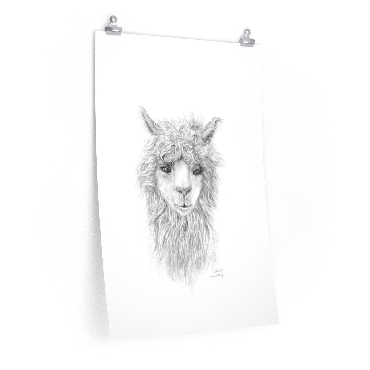 WILLOW Llama- Art Paper Print