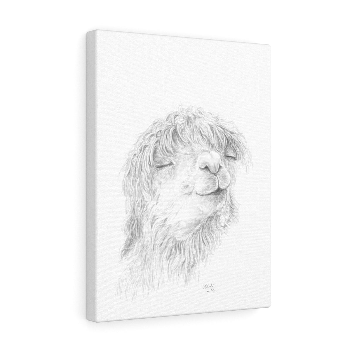 MELINDA Llama - Art Canvas
