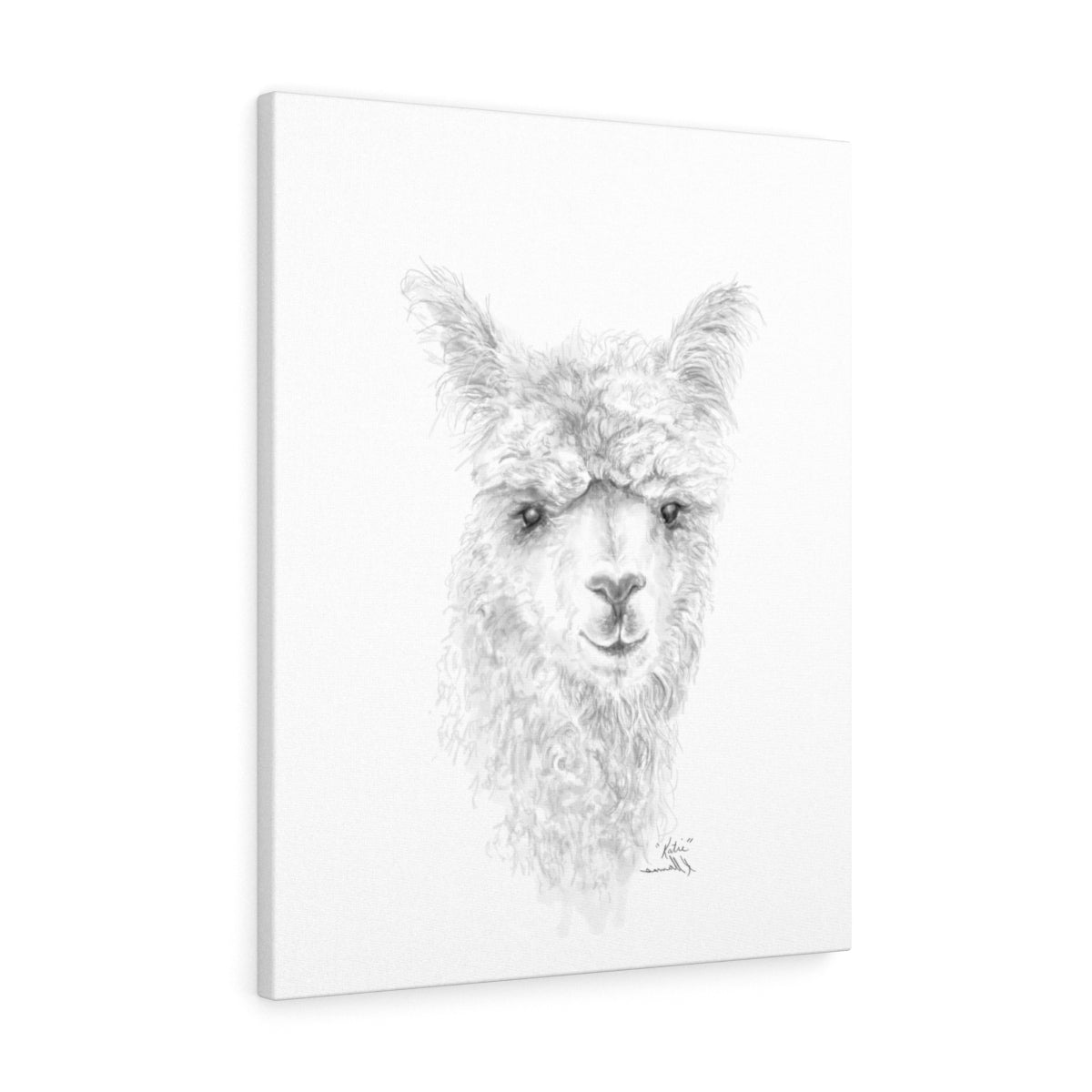 KATIE Llama - Art Canvas