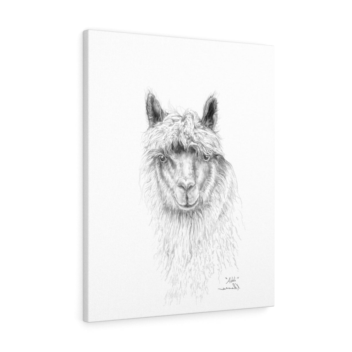ADDI Llama- Art Canvas