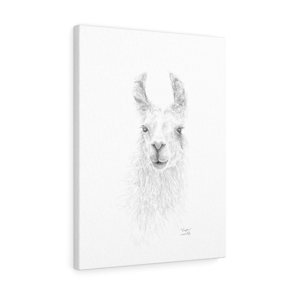 KINGSTON Llama - Art Canvas