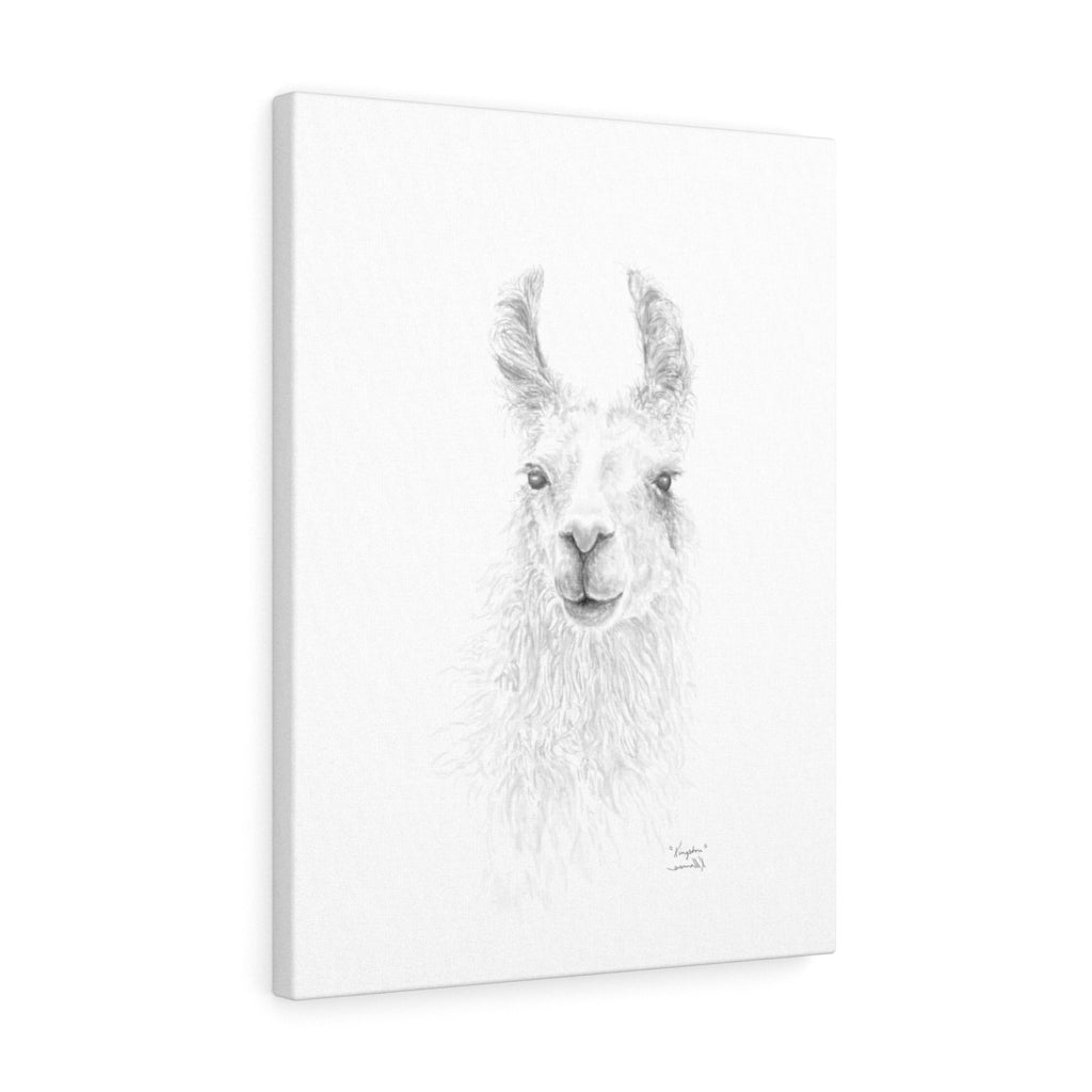 KINGSTON Llama - Art Canvas