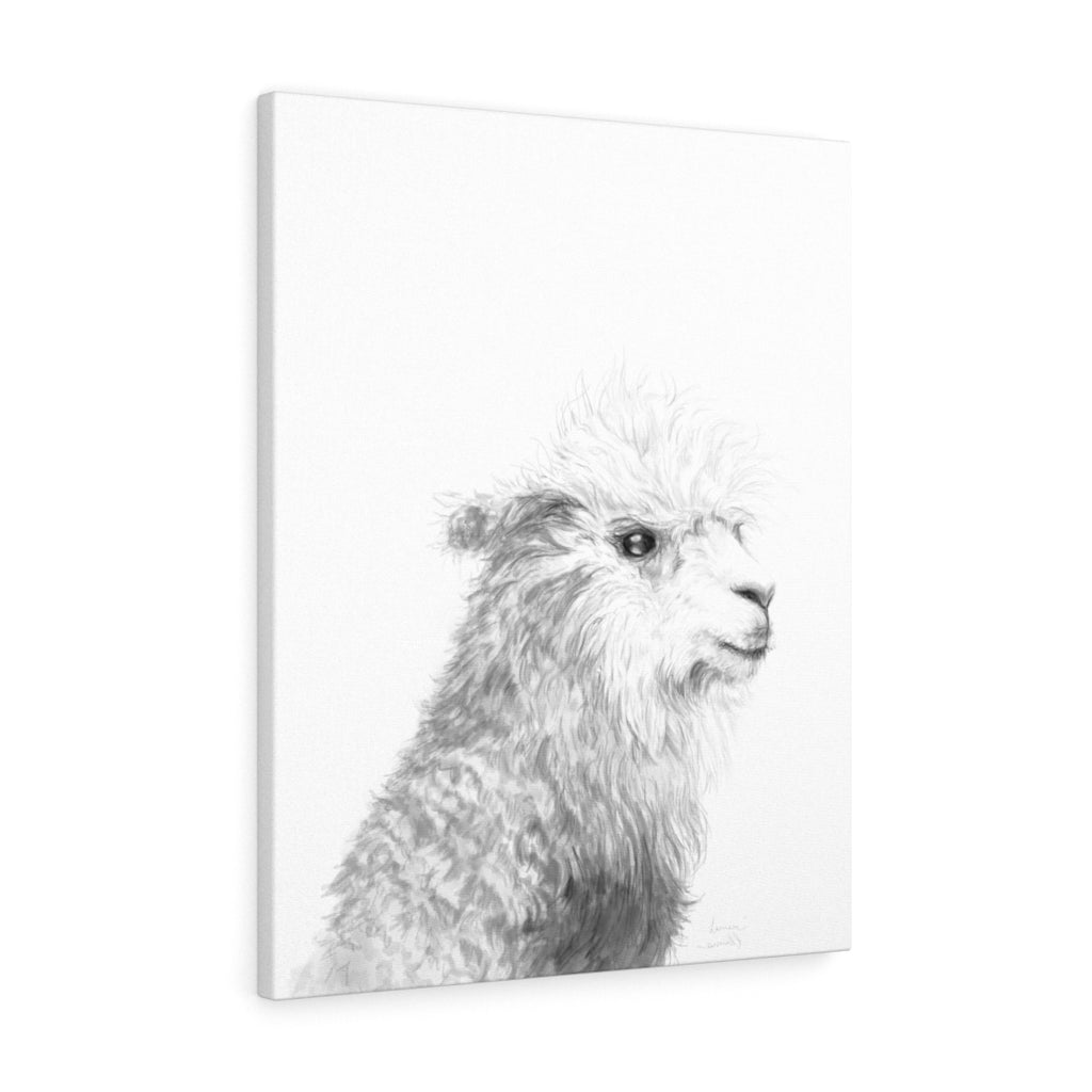 LAUREN Llama - Art Canvas